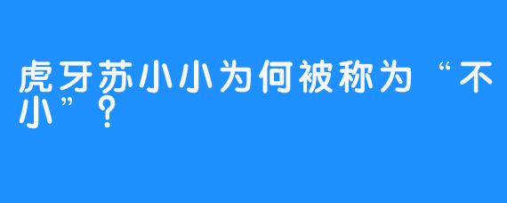 虎牙苏小小为何被称为“不小”？