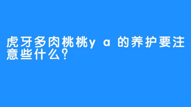 虎牙多肉桃桃ya的养护要注意些什么？