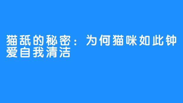 猫舐的秘密：为何猫咪如此钟爱自我清洁