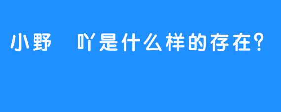 小野吢吖是什么样的存在？